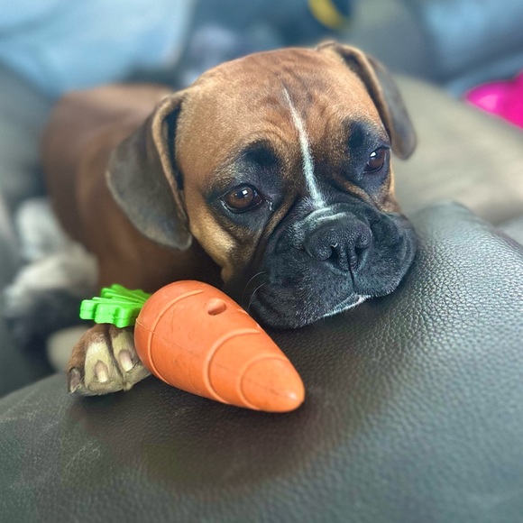 Meet your Posher, Christina - Picture 3 of 6